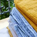 Apartment Au Petit Trianon Bleu Versailles